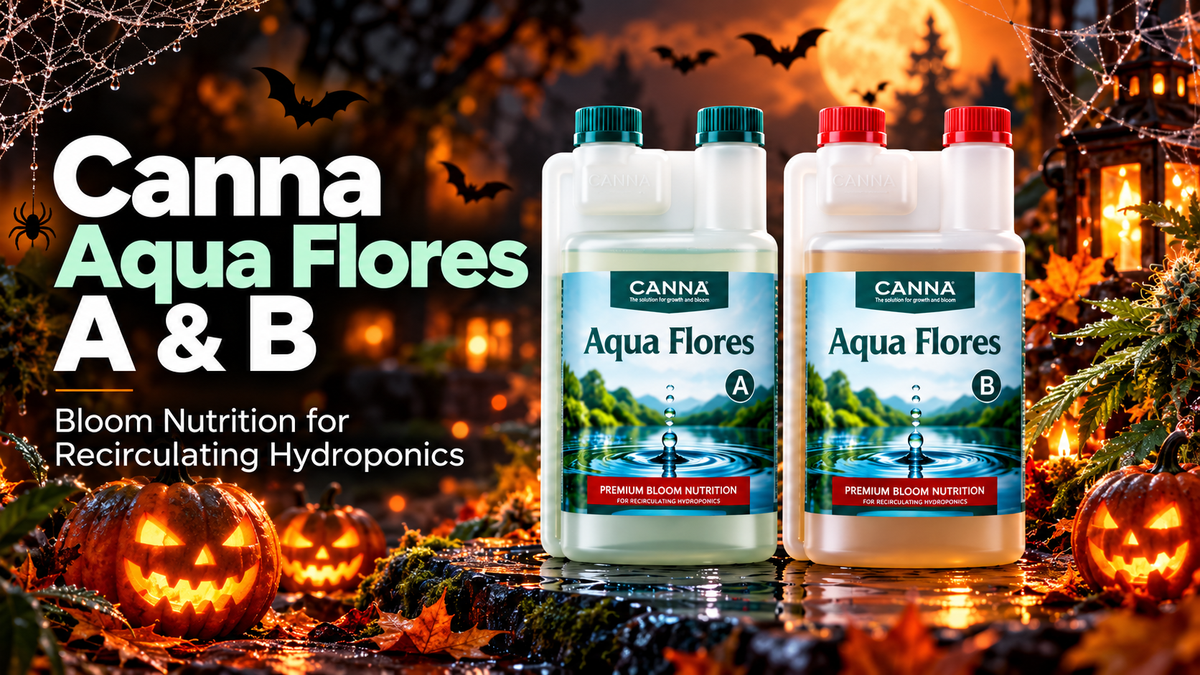 Canna Aqua Flores A & B: Complete Flowering Nutrition for Recirculating Hydroponic Systems