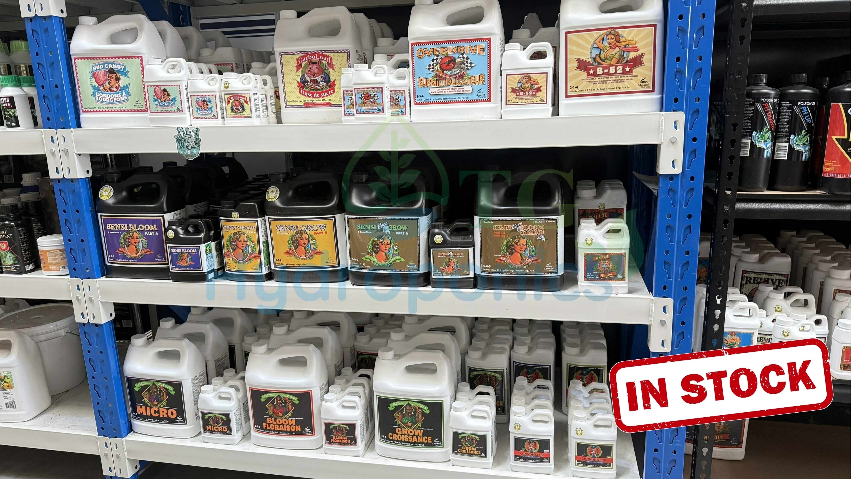 What Are Advanced Nutrients and Why Do Growers Trust Them?