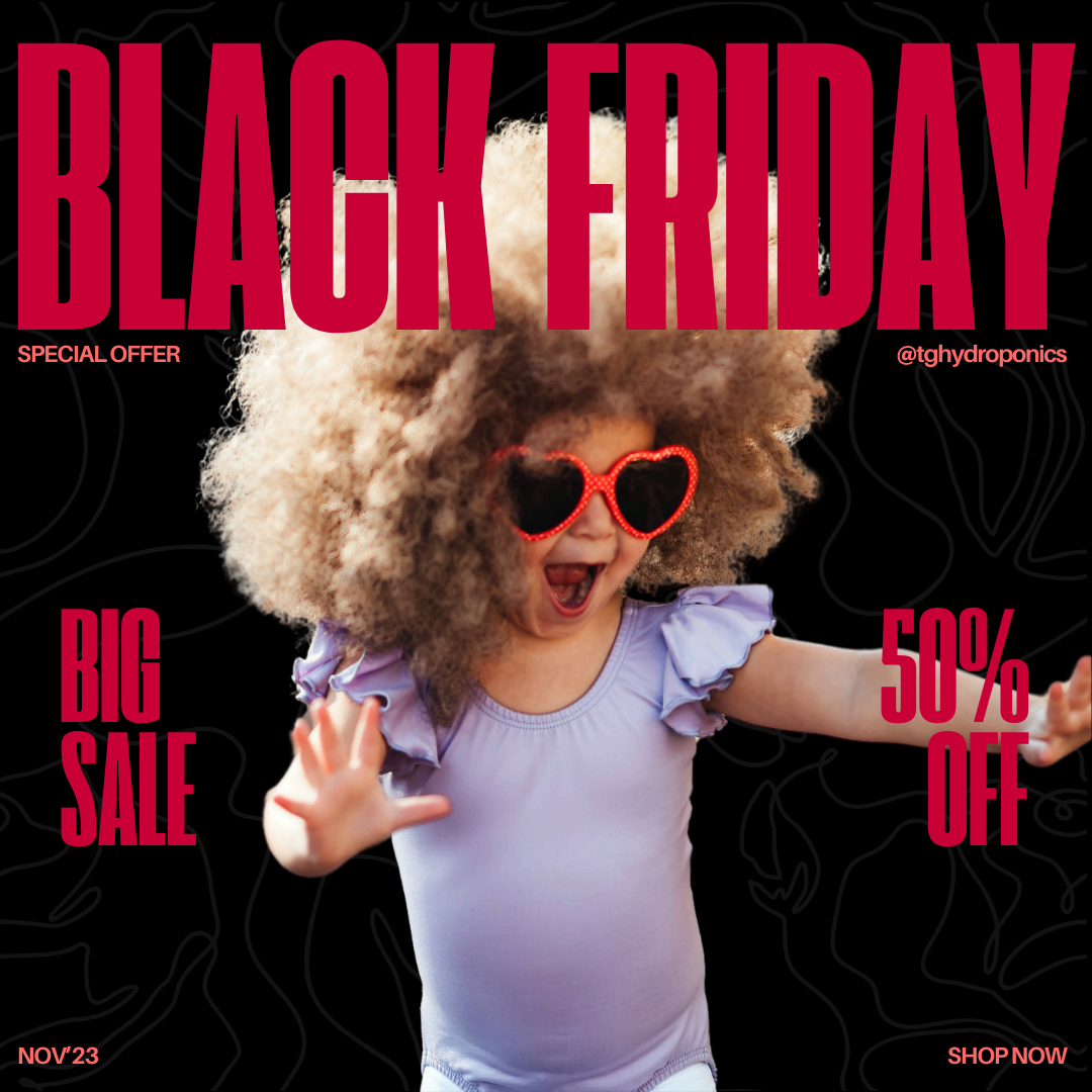 Black Friday in Australia: Exciting Things You Shouldn’t Miss