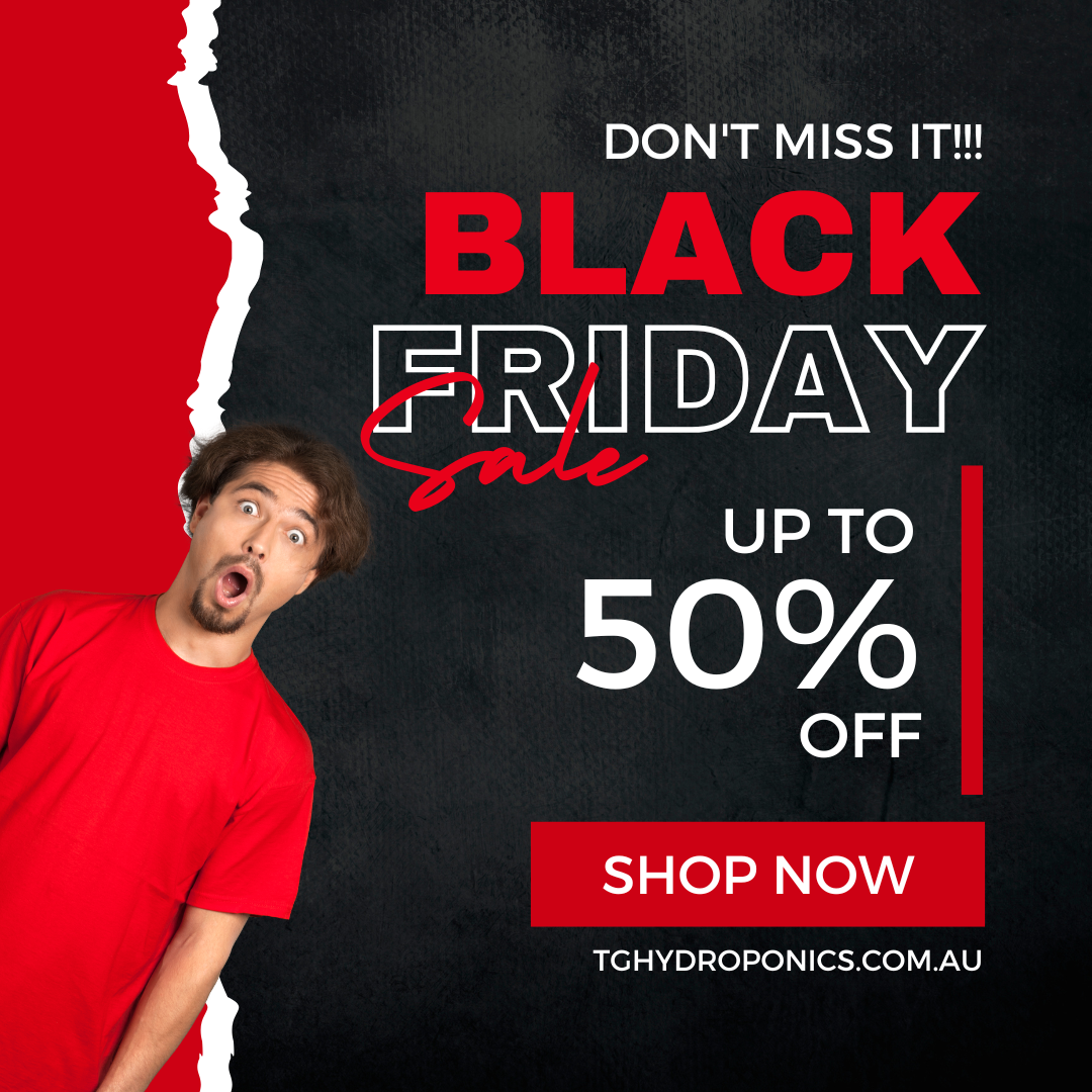 The Origin of Black Friday: How It Became the Biggest Shopping Event Worldwide