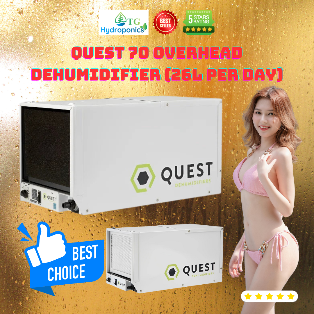 Quest 70 Overhead Dehumidifier (26L per day)