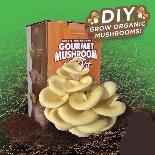 Aussie Mushrooms Edible Gourmet Grow Kit