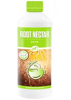 ROOT NECTAR