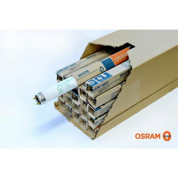 Osram T8 36W 6500K - 120cm/4ft