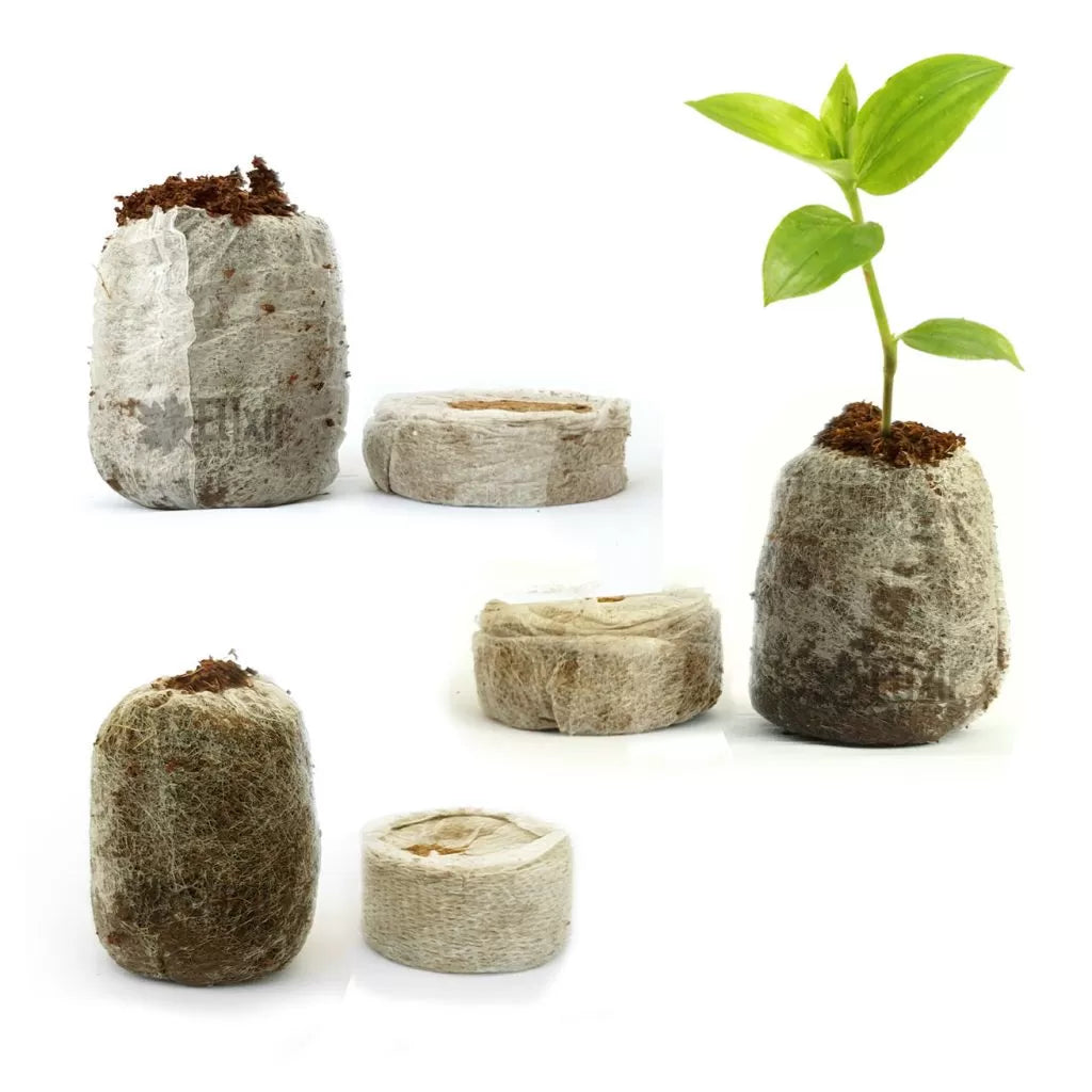 42MM JIFFY COCO COIR PROPAGATION PALLETS - 1000 PCS