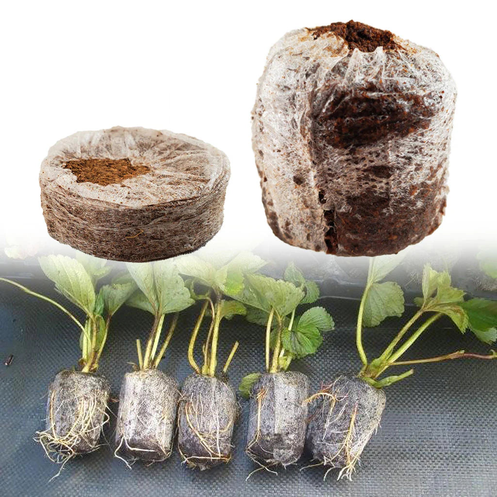 42MM JIFFY COCO COIR PROPAGATION PALLETS - 1000 PCS