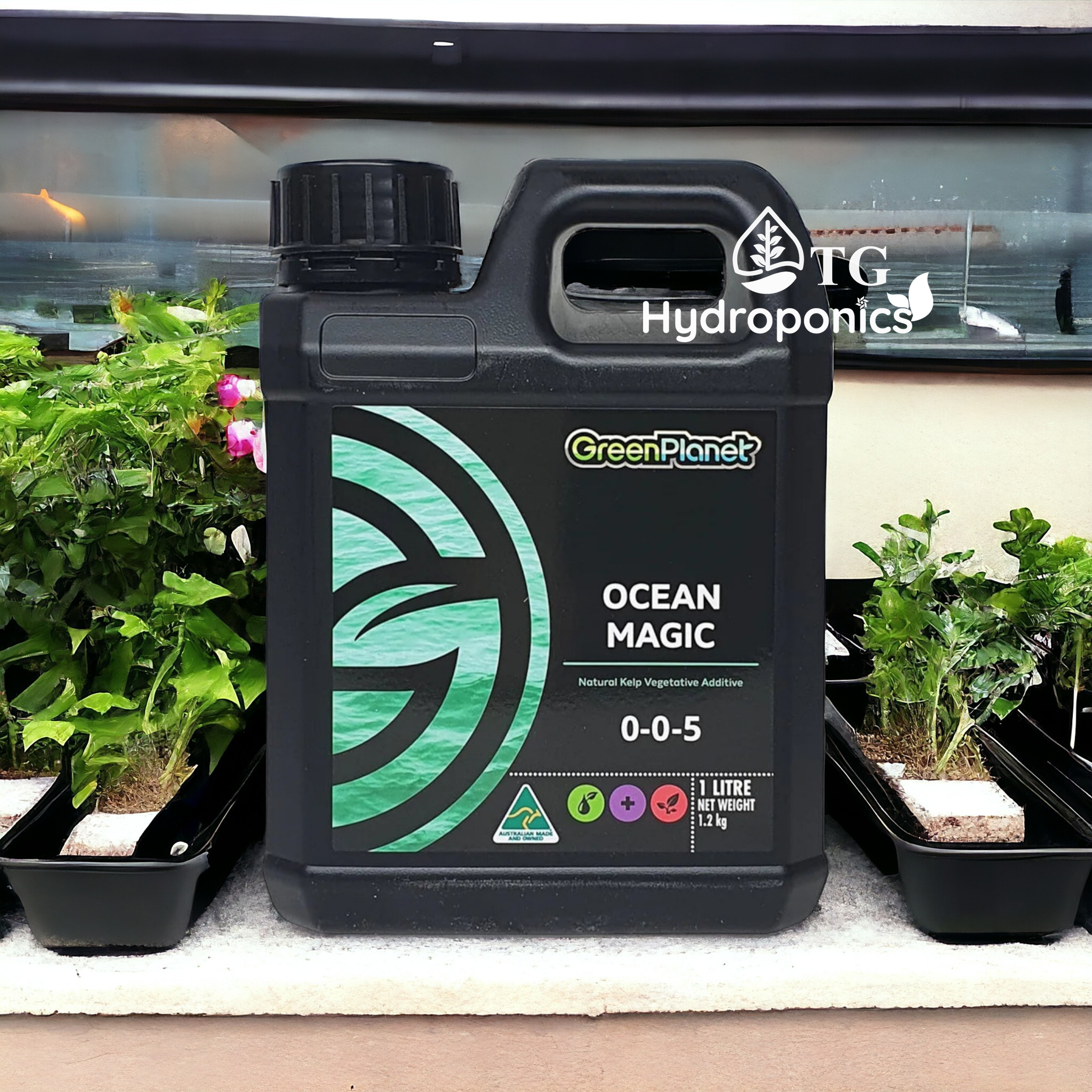 GreenPlanet Ocean Magic