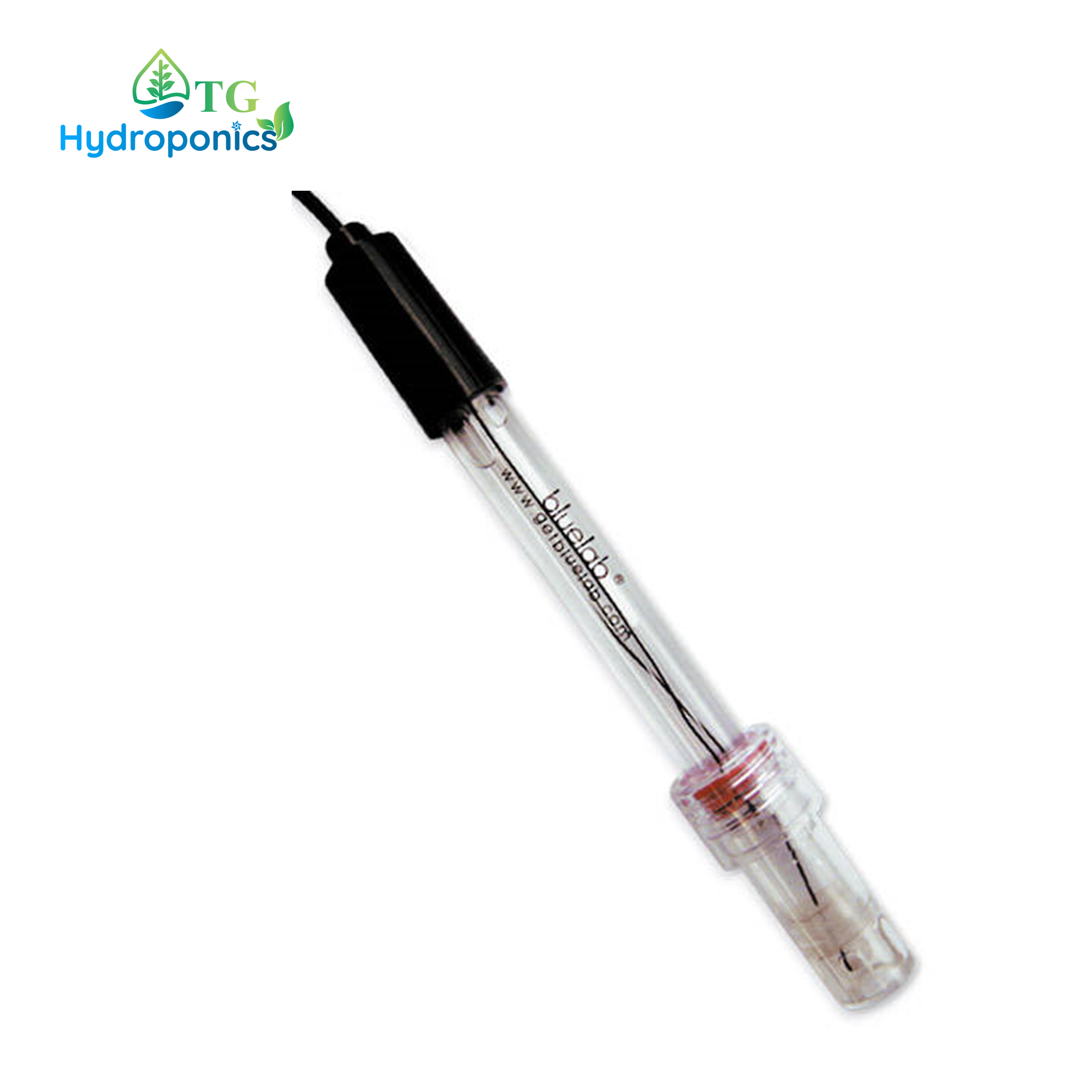 Bluelab Replacement pH Probe