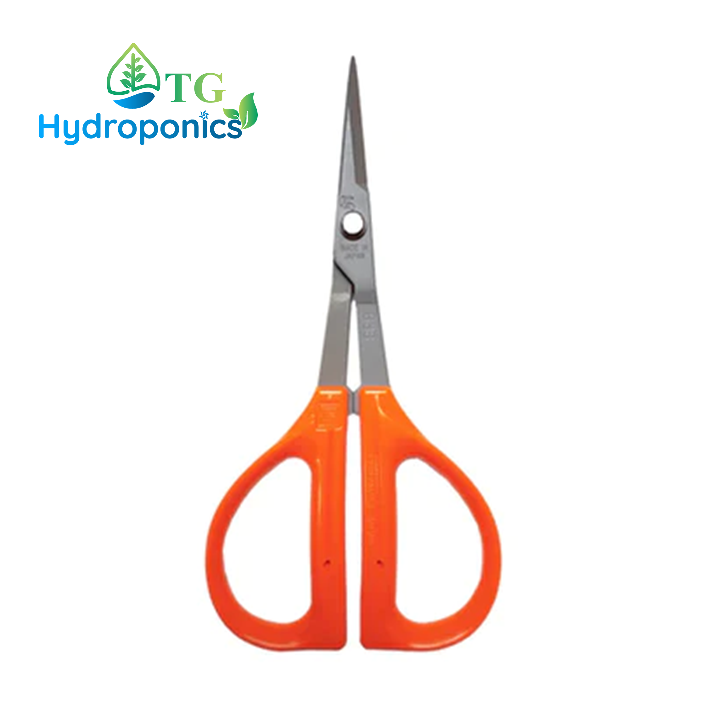 Chikamasa Scissors B-300SF