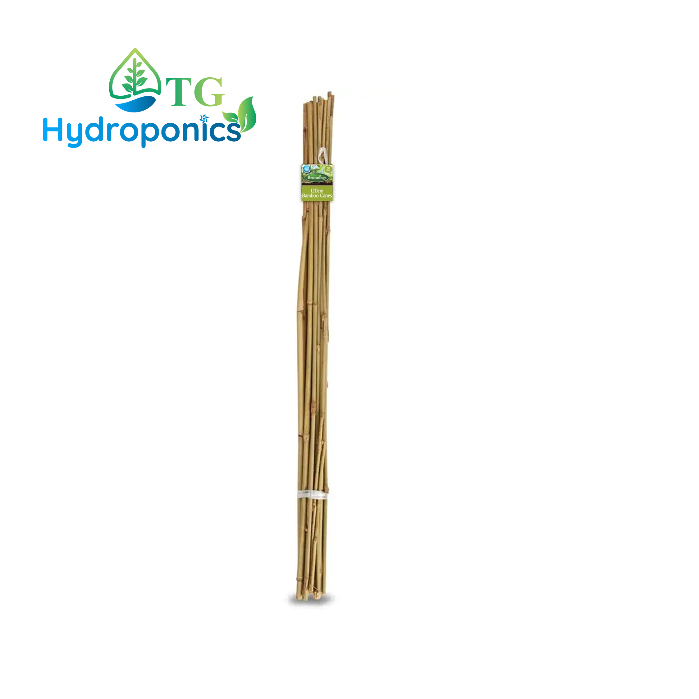 Brunnings 120cm Natural Bamboo Garden Stakes - 20 Pack