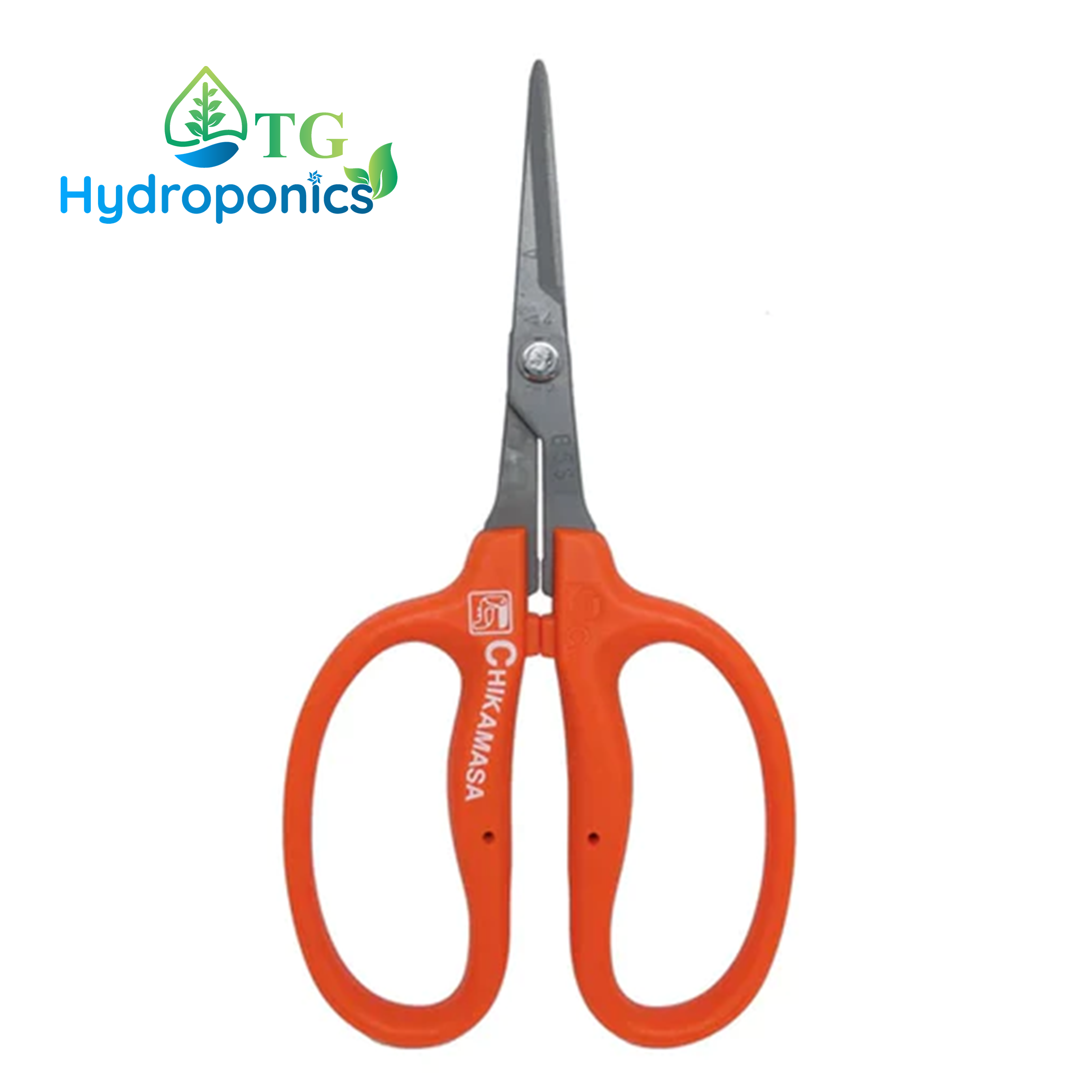 Chikamasa Scissors B-500SF