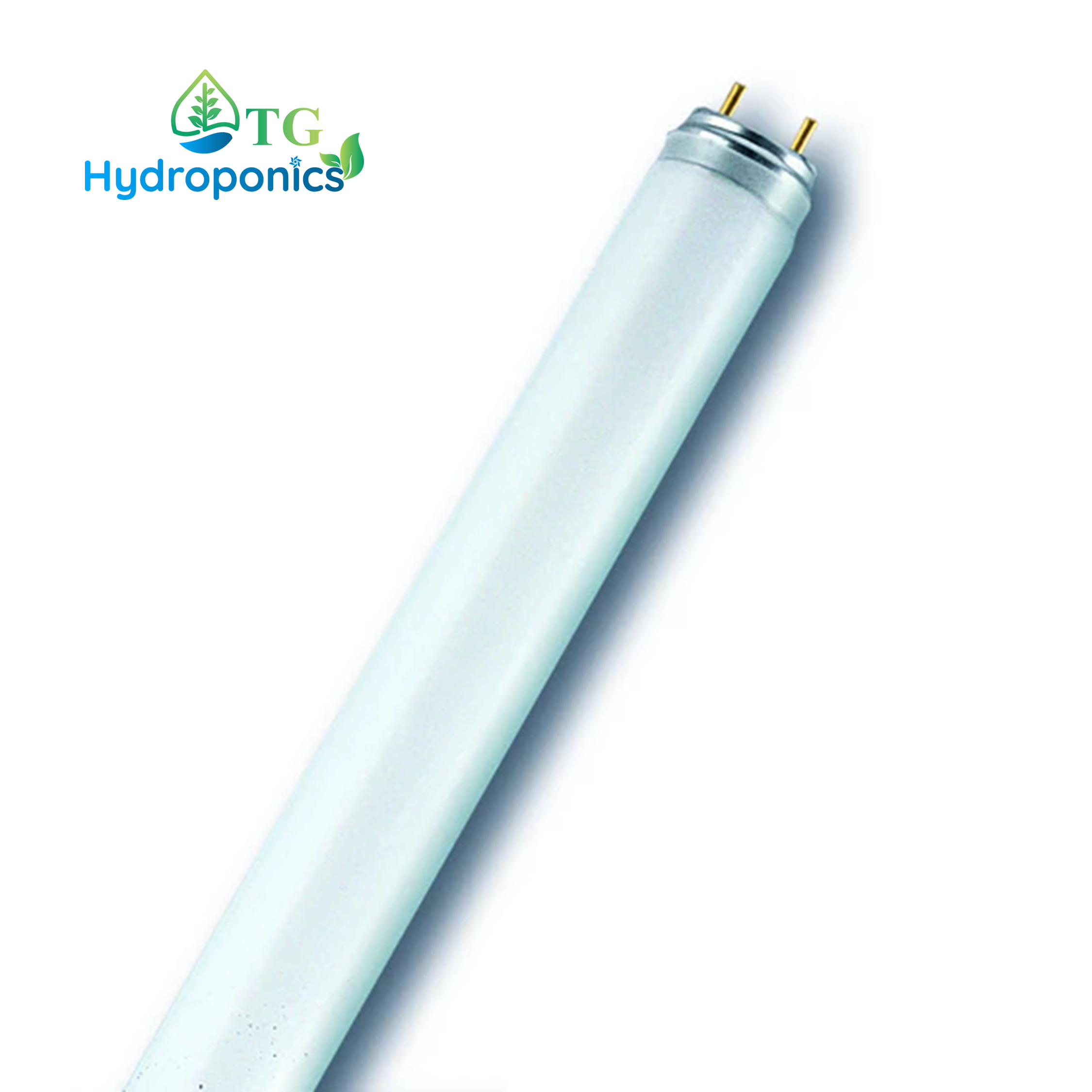 Osram T8 36W 6500K - 120cm/4ft