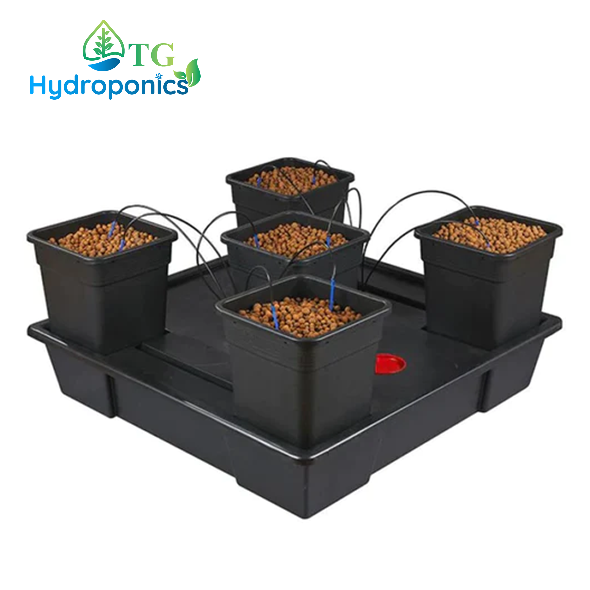 Wilma XXL 5 Pot Set with Pump (115cm x 115cm)
