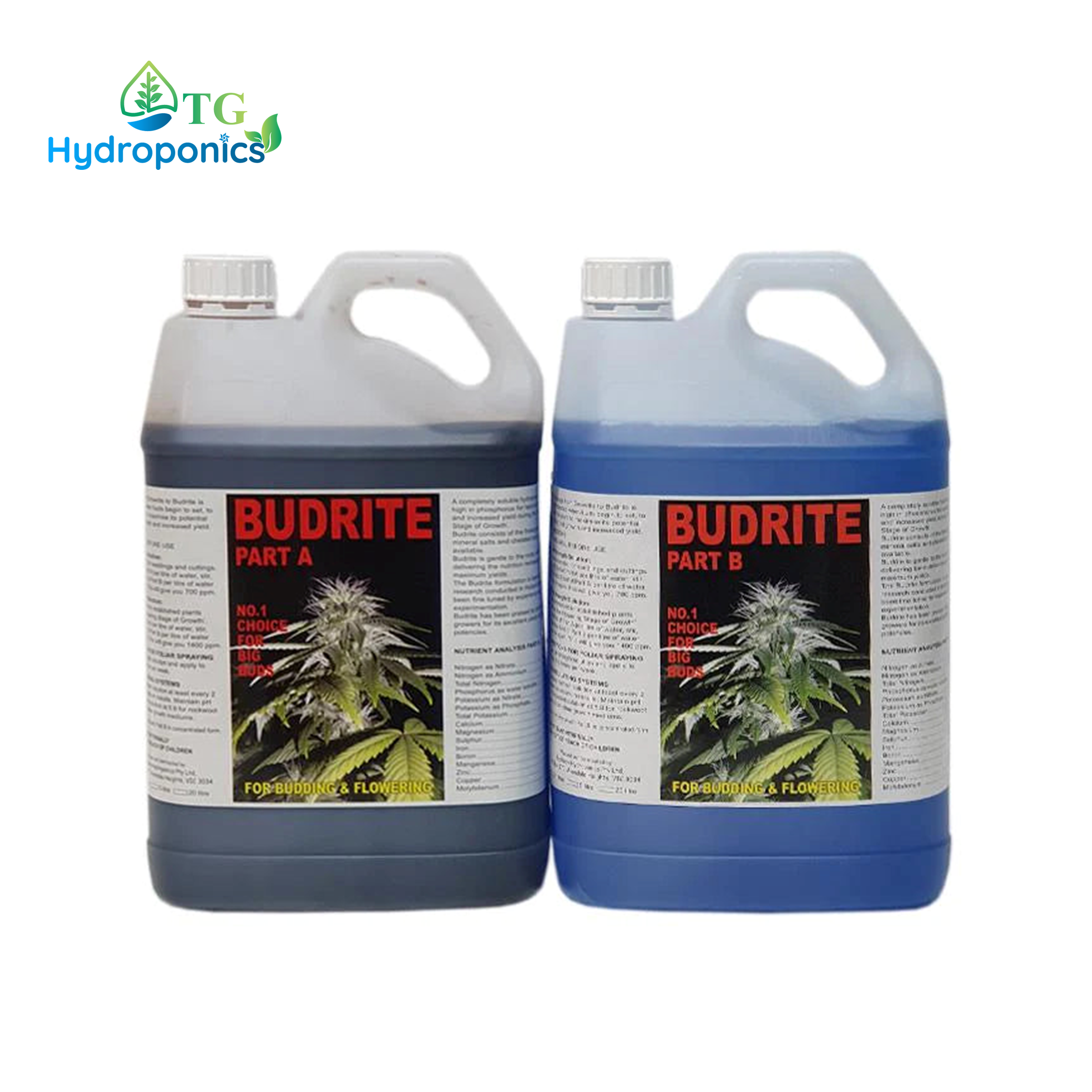 Budrite A+B