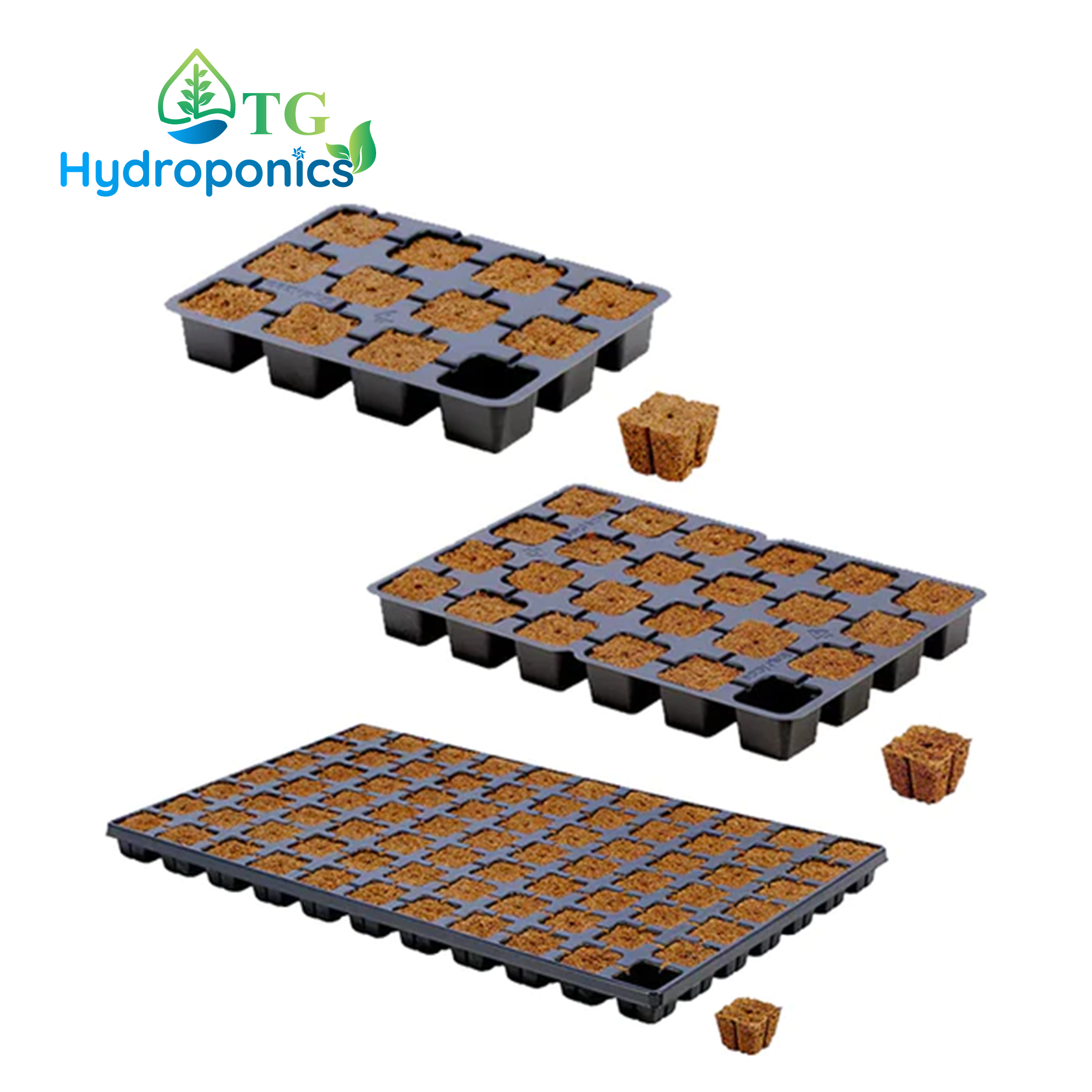 Eazy Plug - 12 | 24 | 77 packs