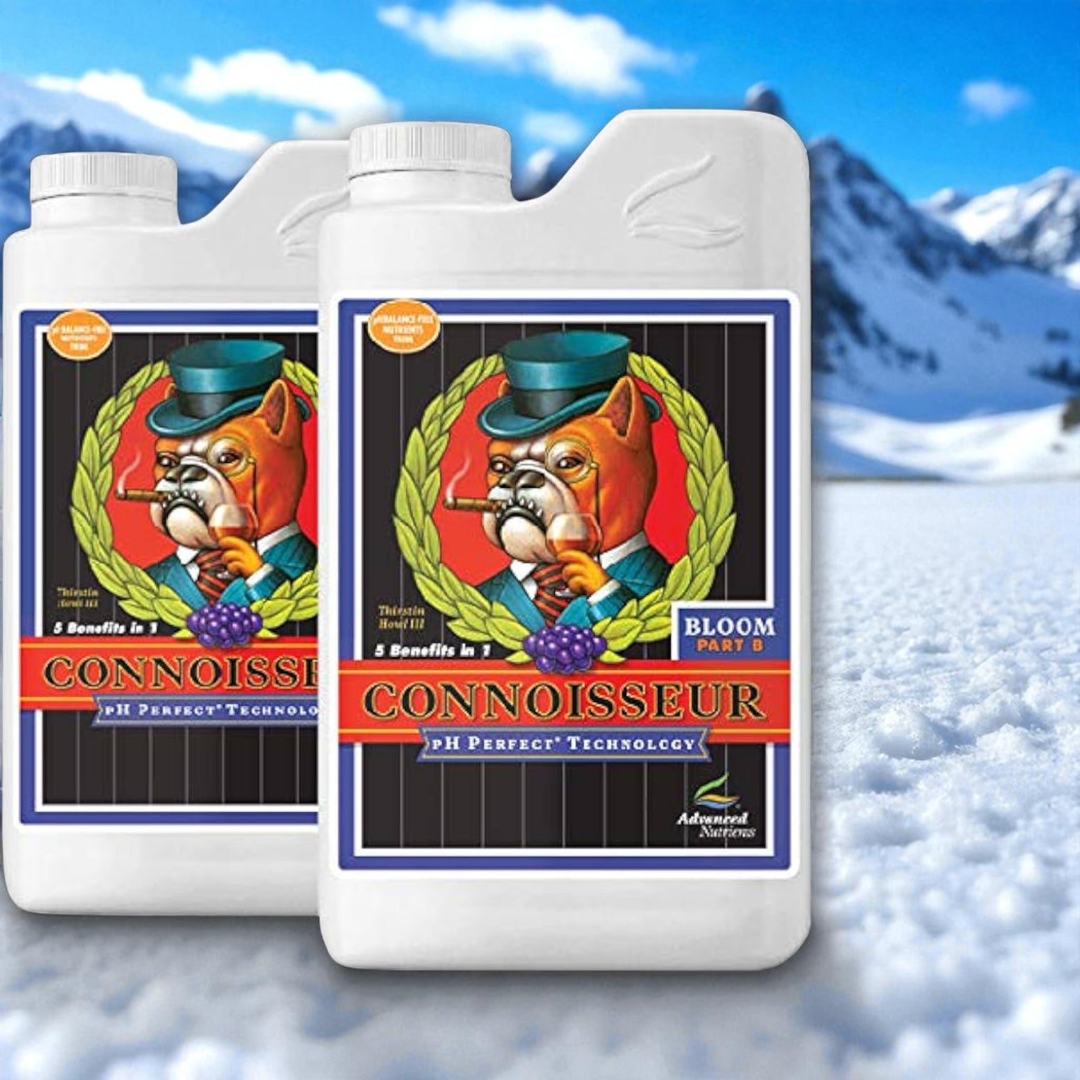 Advanced Nutrients Connoisseur Bloom A & B