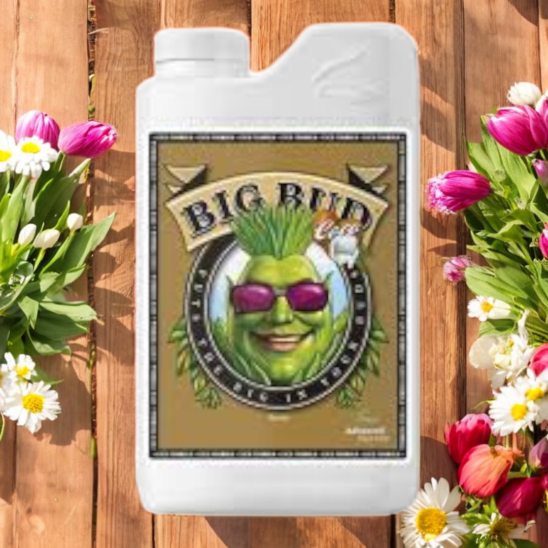 Advanced Nutrients Big Bud Coco 1L