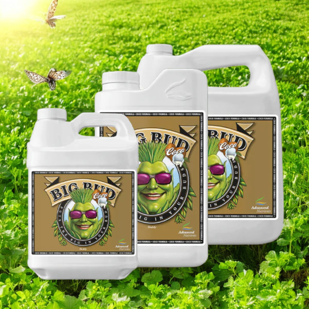 Advanced Nutrients Big Bud Coco 1L