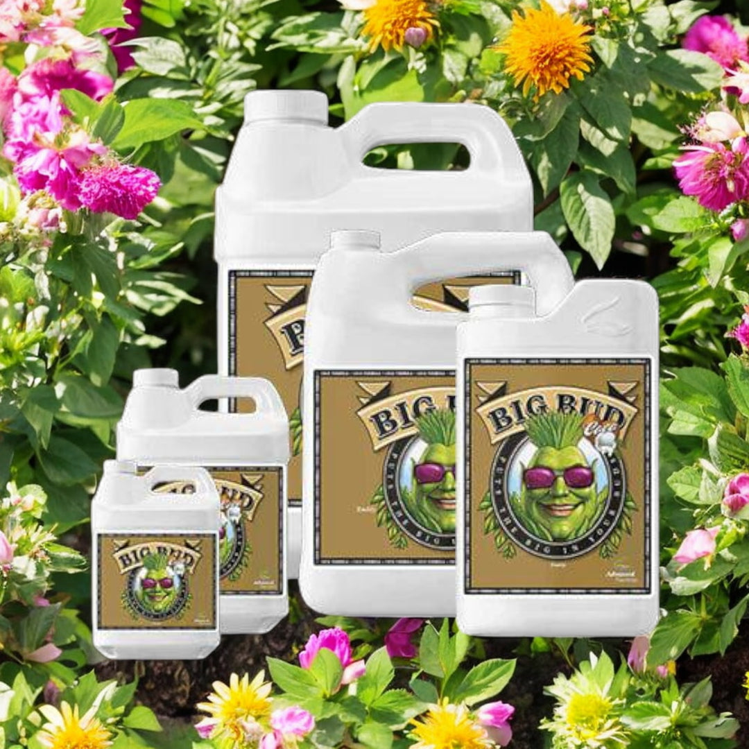 Advanced Nutrients Big Bud Coco 1L