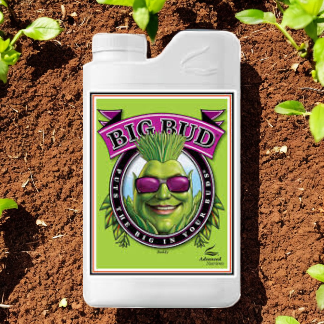 Advanced Nutrients Big Bud