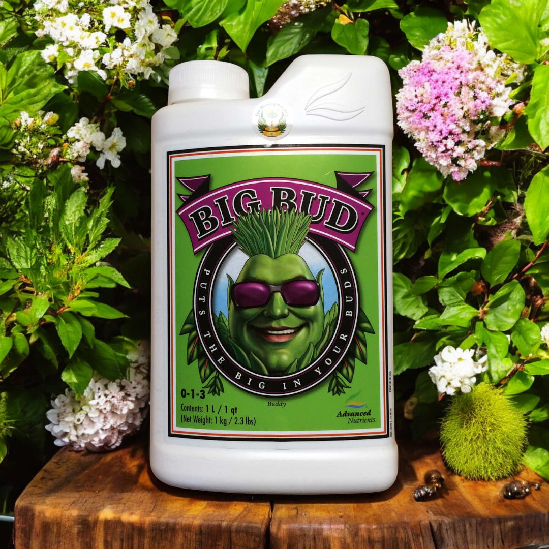 Advanced Nutrients Big Bud
