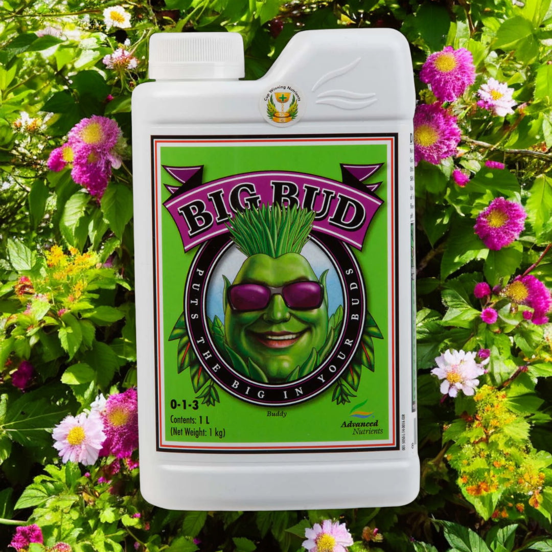 Advanced Nutrients Big Bud