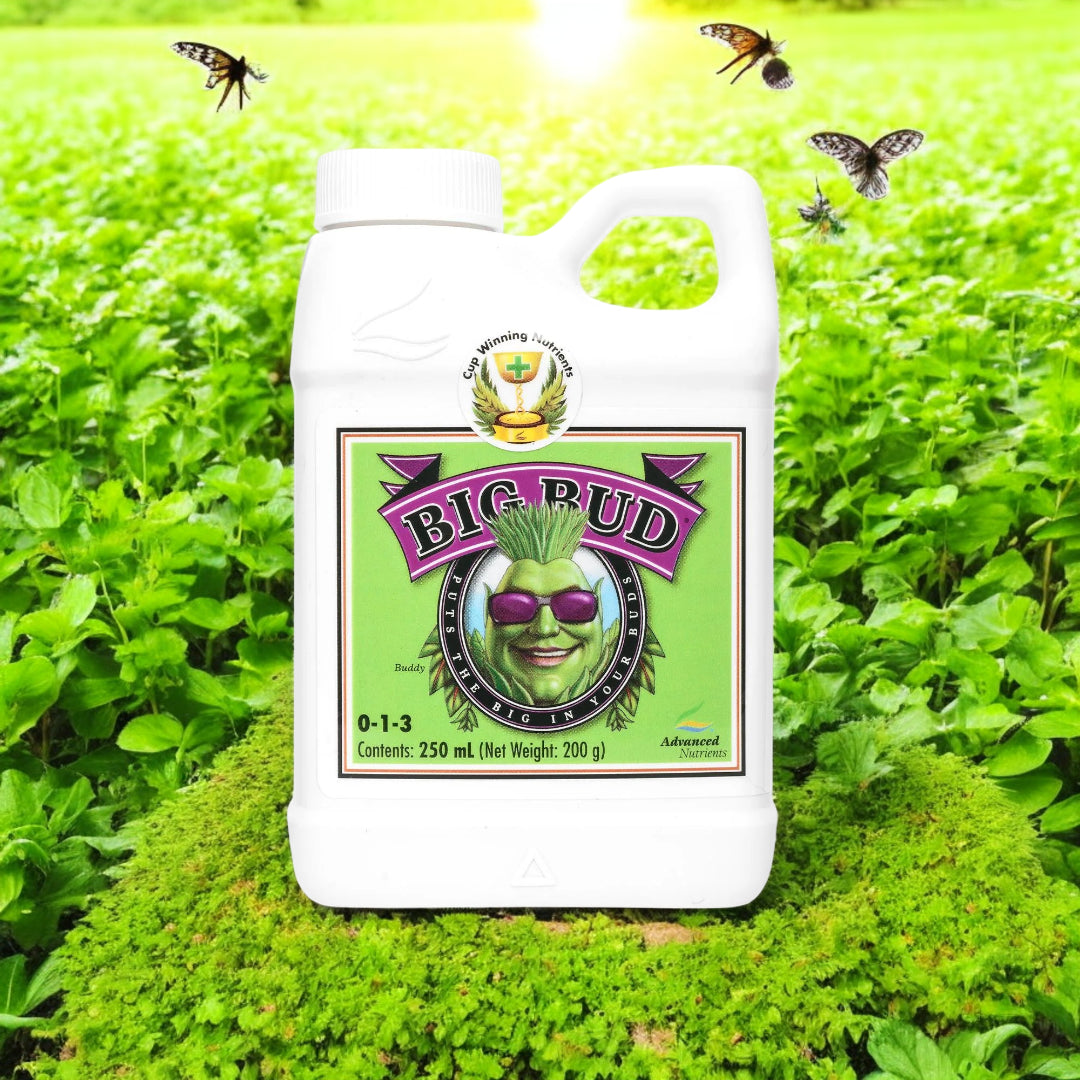 Advanced Nutrients Big Bud