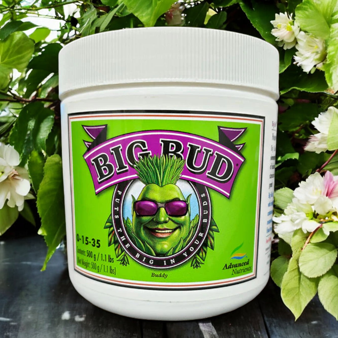 Advanced Nutrients Big Bud