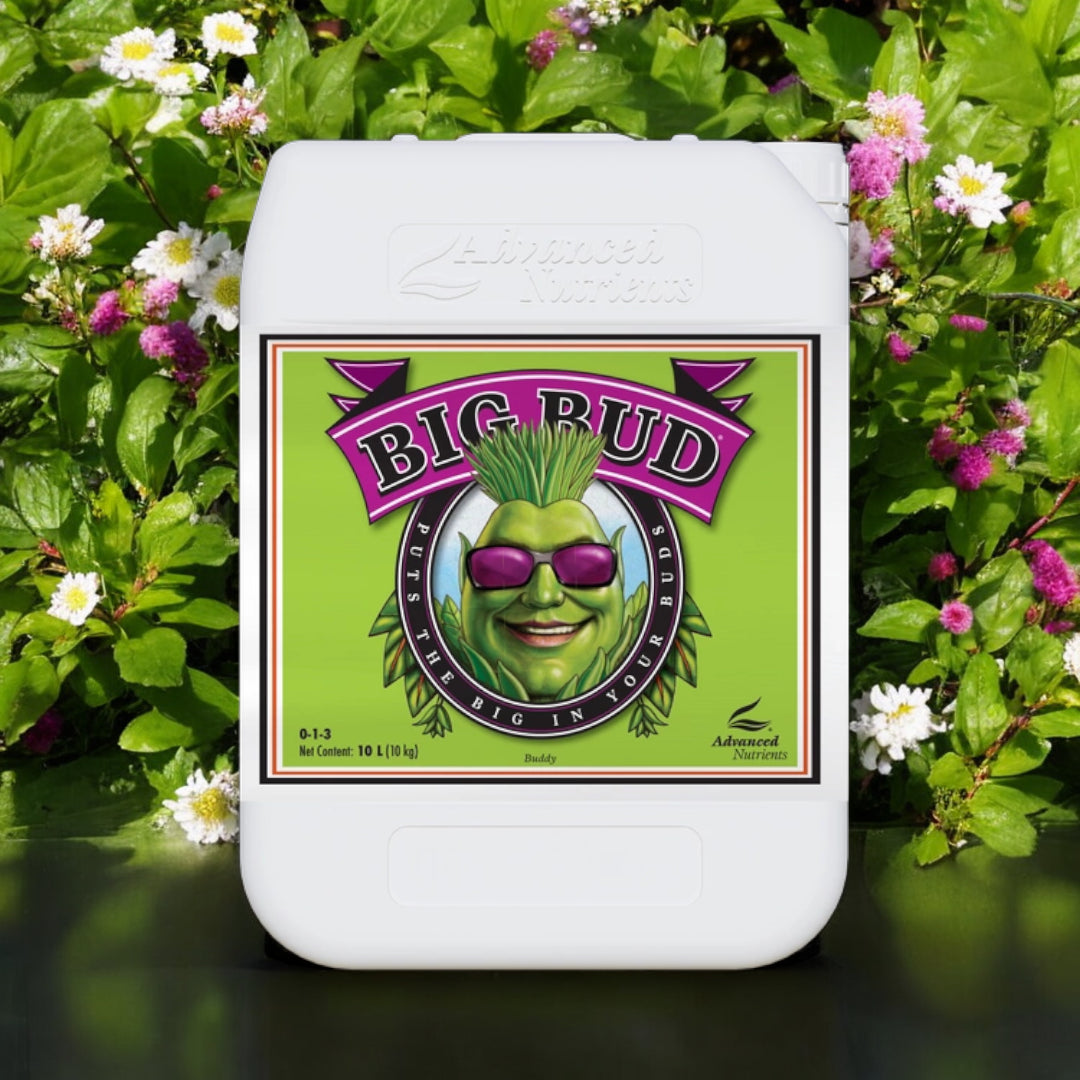 Advanced Nutrients Big Bud