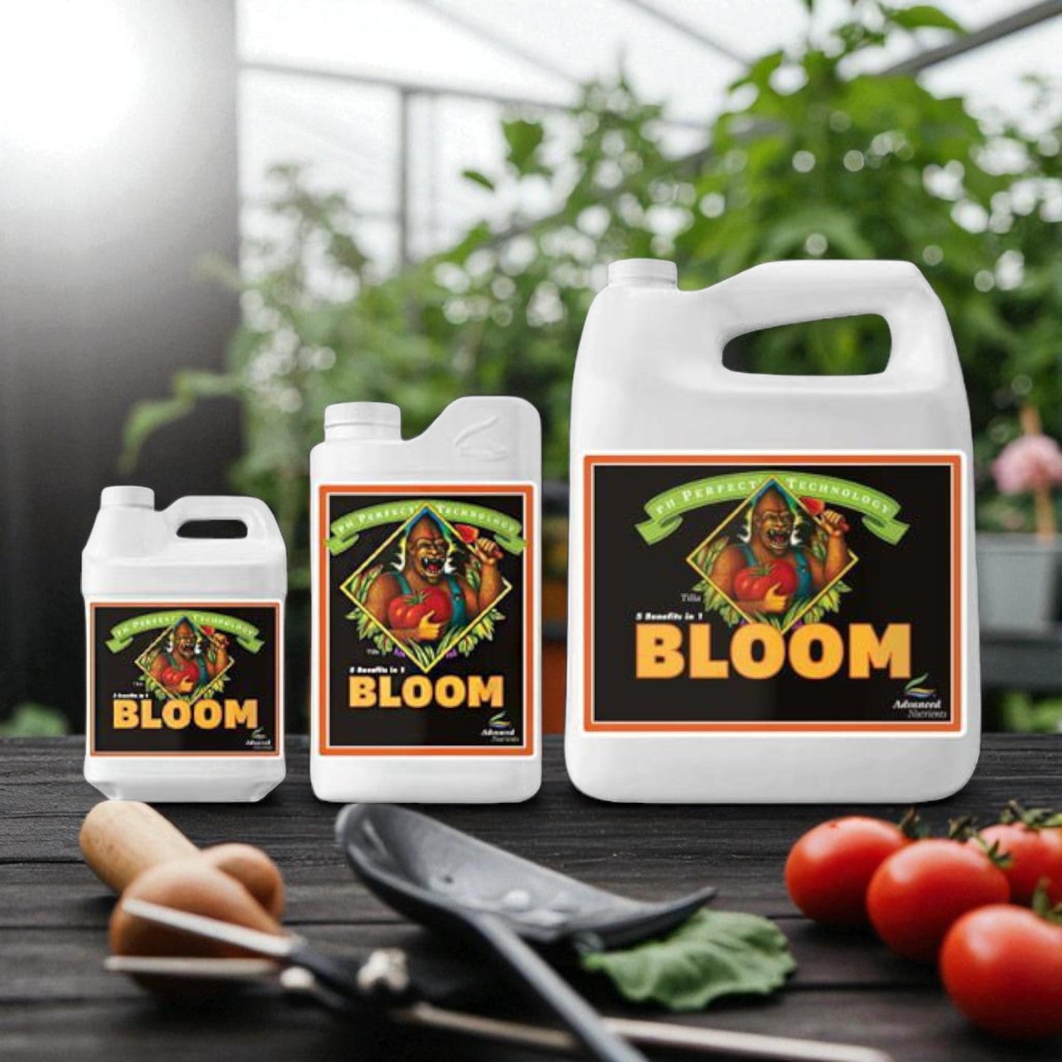 Advanced Nutrients PH Perfect Bloom