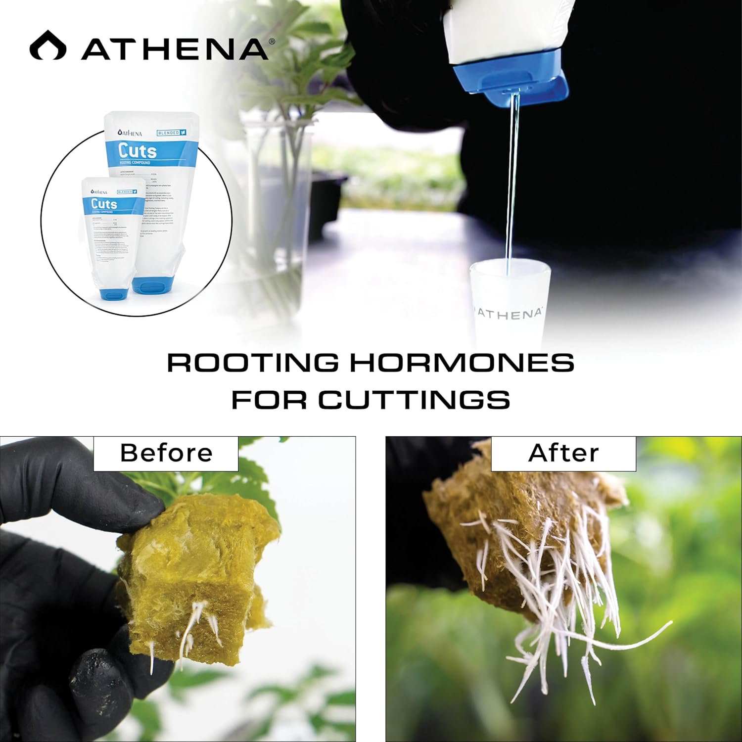 Athena Cuts Rooting Gel