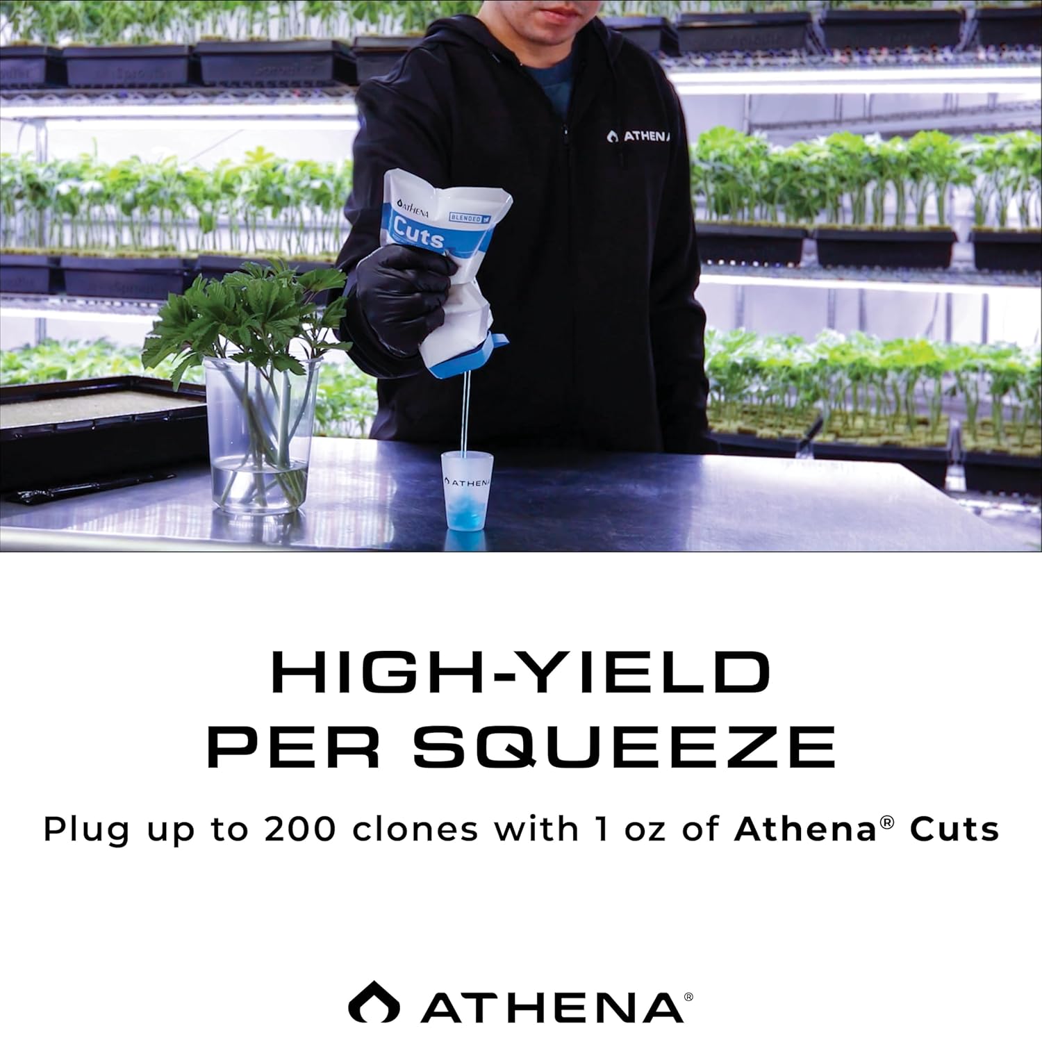 Athena Cuts Rooting Gel