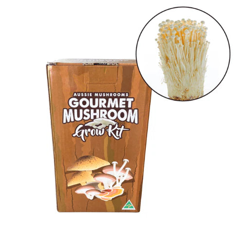 Aussie Mushrooms Edible Gourmet Grow Kit