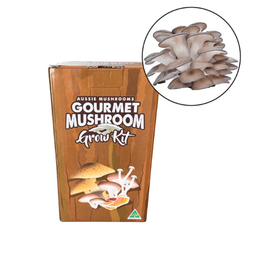 Aussie Mushrooms Edible Gourmet Grow Kit