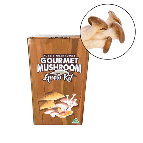 Aussie Mushrooms Edible Gourmet Grow Kit
