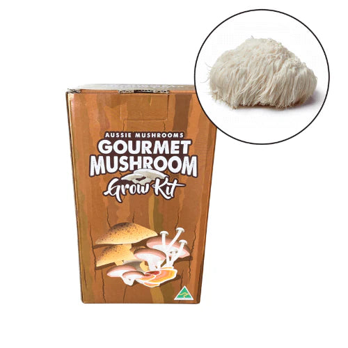 Aussie Mushrooms Edible Gourmet Grow Kit