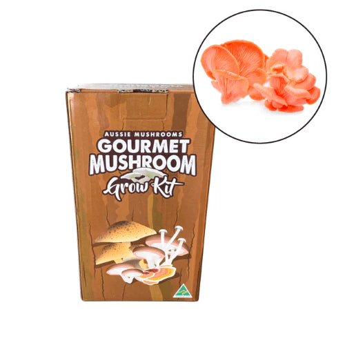 Aussie Mushrooms Edible Gourmet Grow Kit