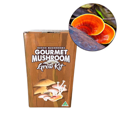Aussie Mushrooms Edible Gourmet Grow Kit