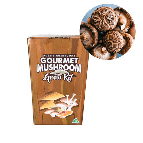Aussie Mushrooms Edible Gourmet Grow Kit