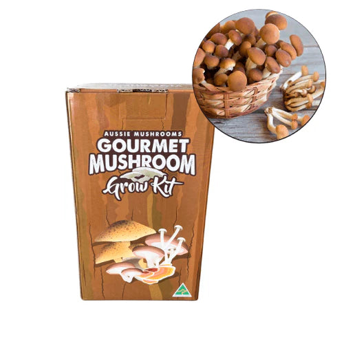 Aussie Mushrooms Edible Gourmet Grow Kit