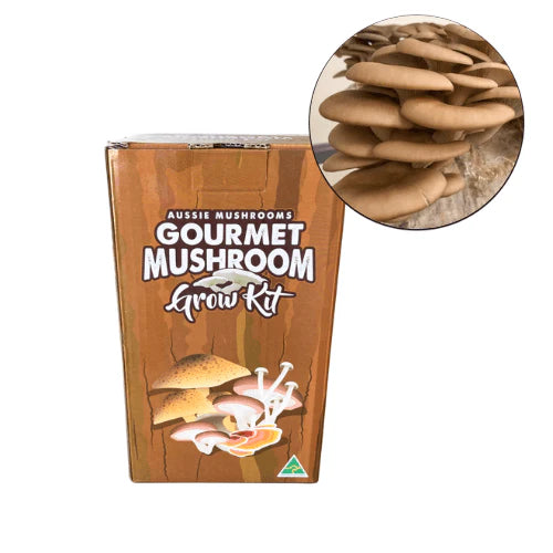 Aussie Mushrooms Edible Gourmet Grow Kit