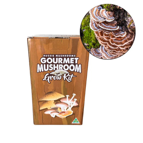 Aussie Mushrooms Edible Gourmet Grow Kit