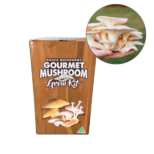 Aussie Mushrooms Edible Gourmet Grow Kit