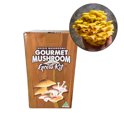 Aussie Mushrooms Edible Gourmet Grow Kit