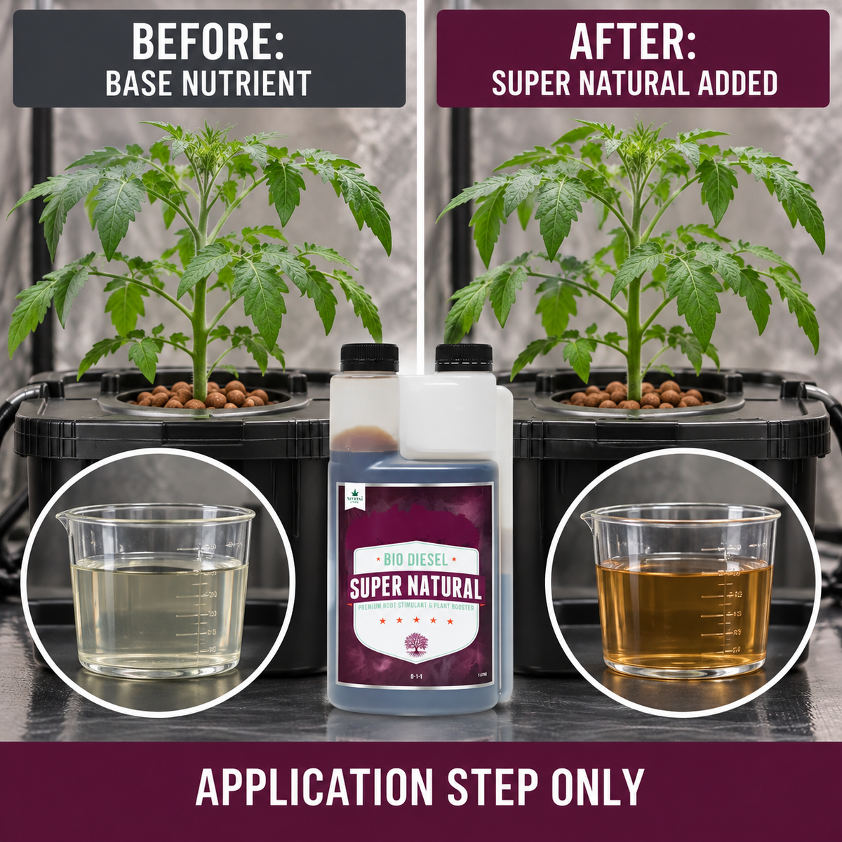Before-and-after application setup showing the same tomato plant before base nutrient and after Bio Diesel Super Natural is added; application step only.