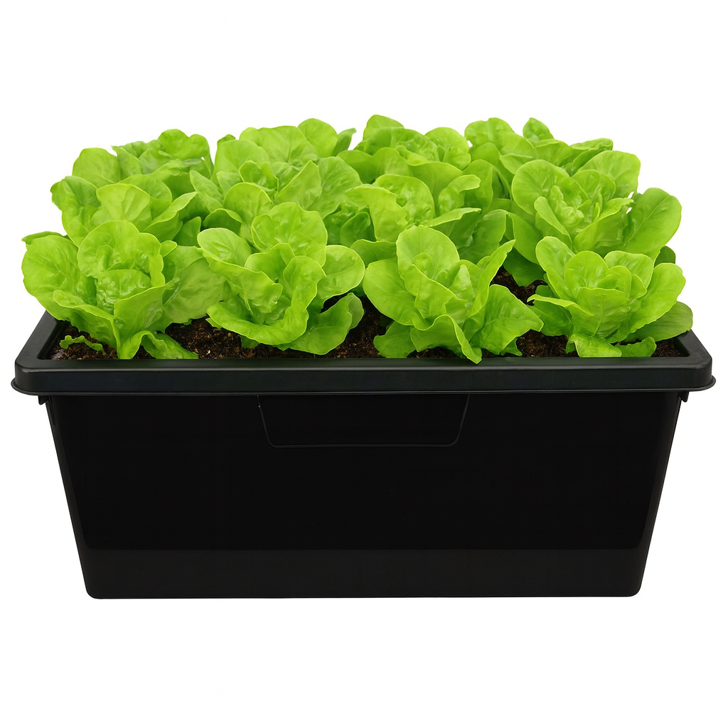 Black Tub with Lid 80L