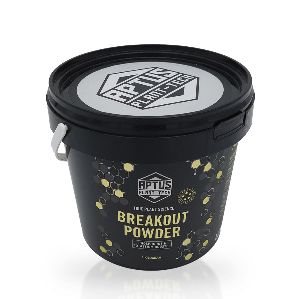 Aptus BreakOut Powder