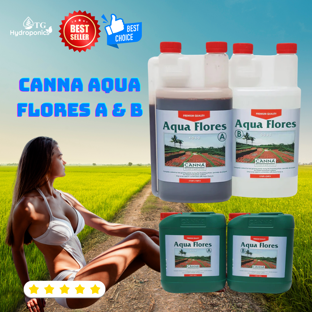 Canna Aqua Flores A & B