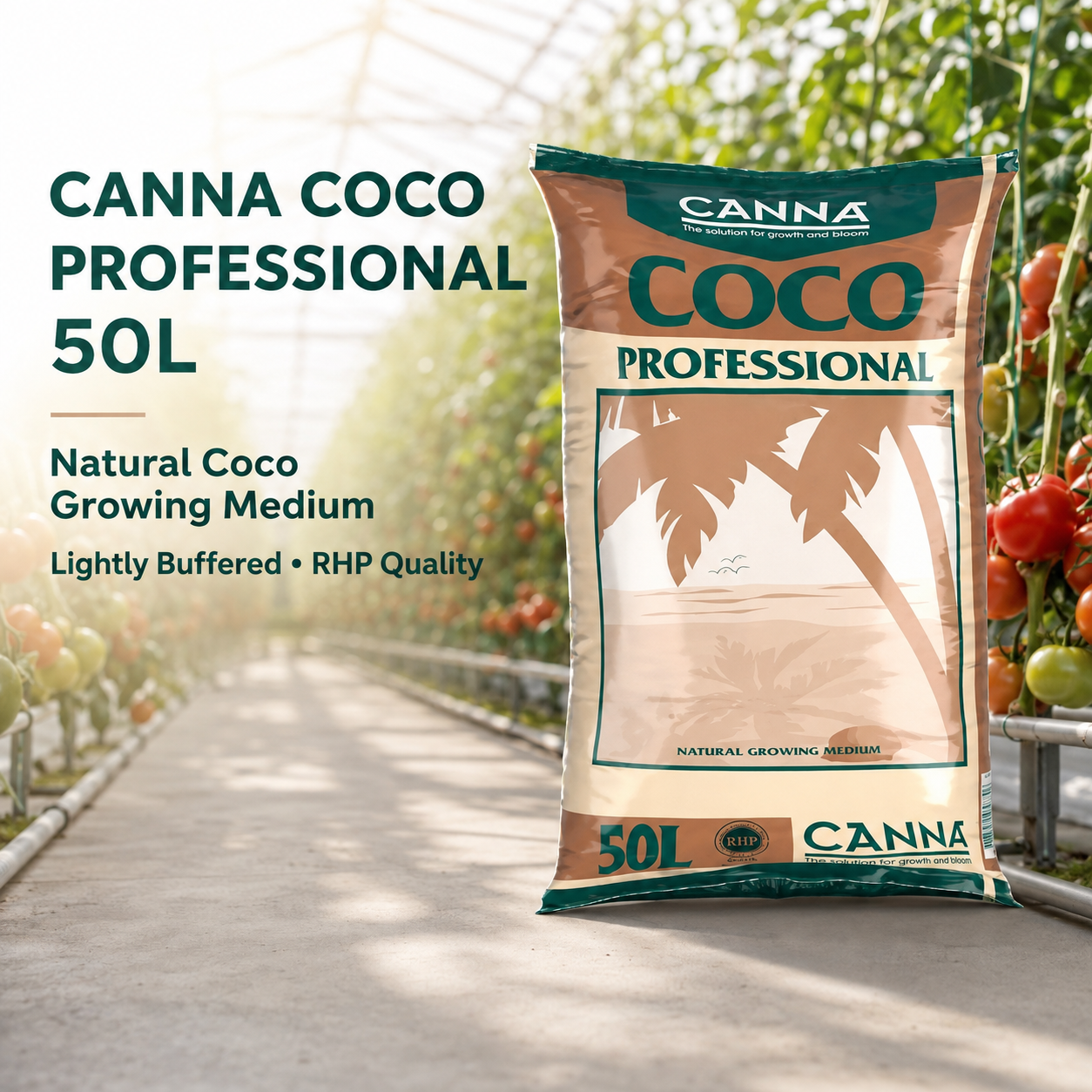 General advertisement for Canna Coco Professional 50L showing the tan and green CANNA coco bag in a tomato greenhouse with lightly buffered and RHP quality callouts.