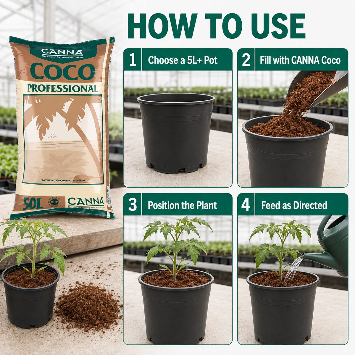 Four-step guide for Canna Coco Professional 50L: choose a 5L or larger pot, fill with coco, position the plant and feed as directed.